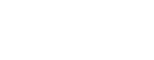 Logo Blue Soft Group